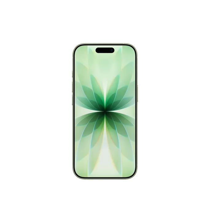 Apple iPhone 17 256GB Salbei MG6N4ZD/A – Bild 2