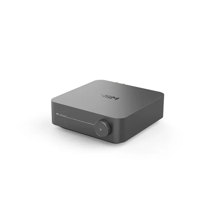 Wiim Amp Pro Streaming-Verstärker grau – Bild 2