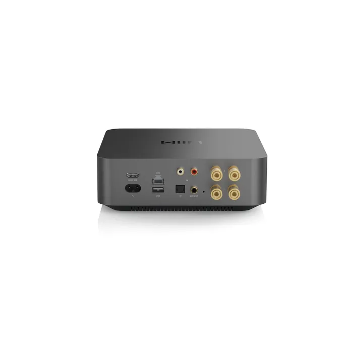 Wiim Amp Pro Streaming-Verstärker grau – Bild 3